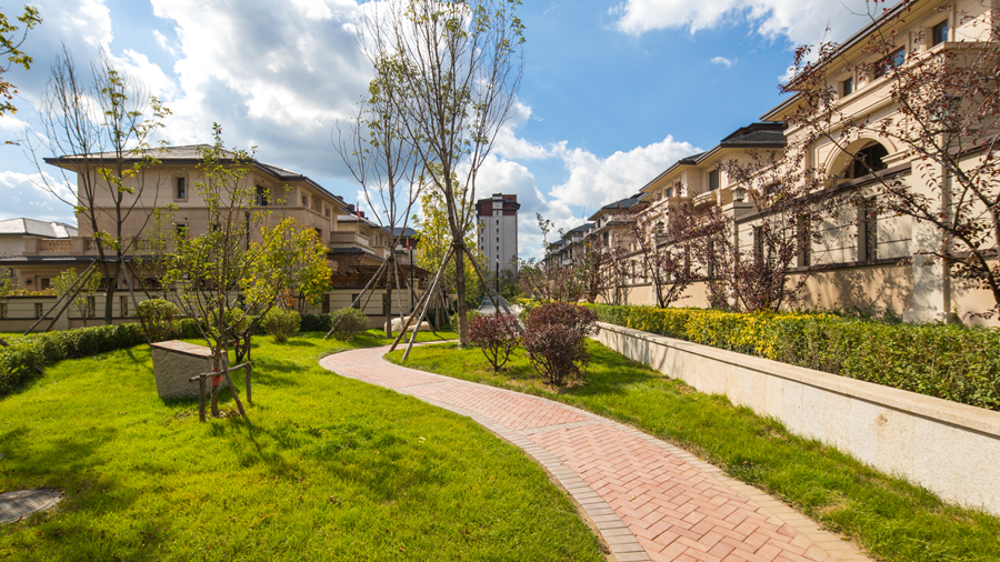 南山園區照片 (8)_副本.jpg