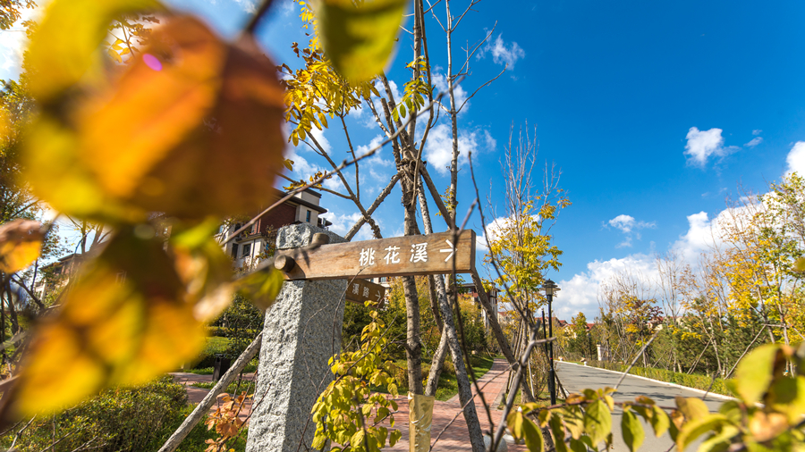 南山園區照片 (14)_副本.jpg