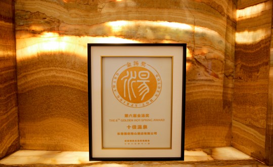 44.酒店公司榮獲第六屆金湯獎_副本.jpg 44.酒店公司榮獲第六屆金湯獎_副本.jpg