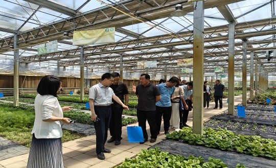 2024年6月27日，中國綠色食品發(fā)展中心相關(guān)領(lǐng)導蒞臨農業(yè)總公司考察調研_副本.jpg